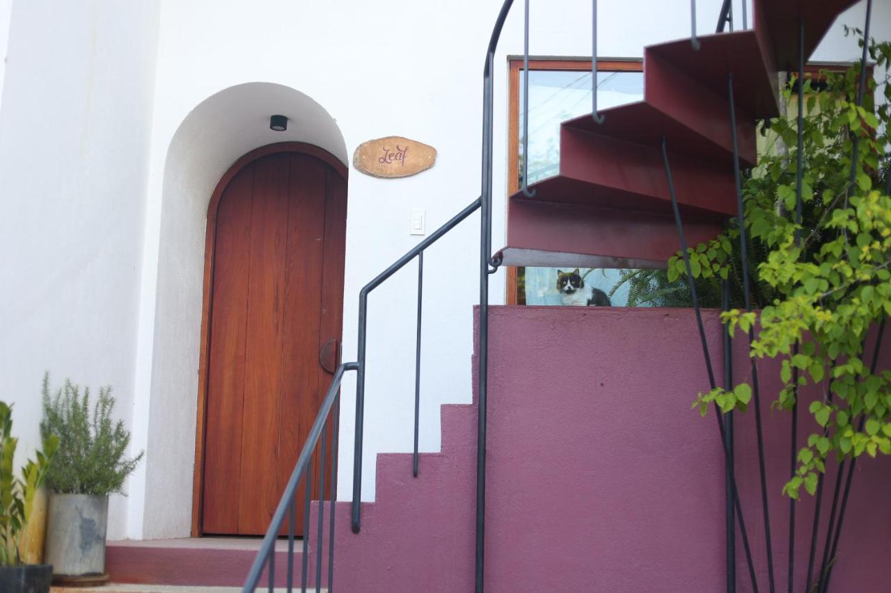 Cherry Suites Dalat 외부 사진